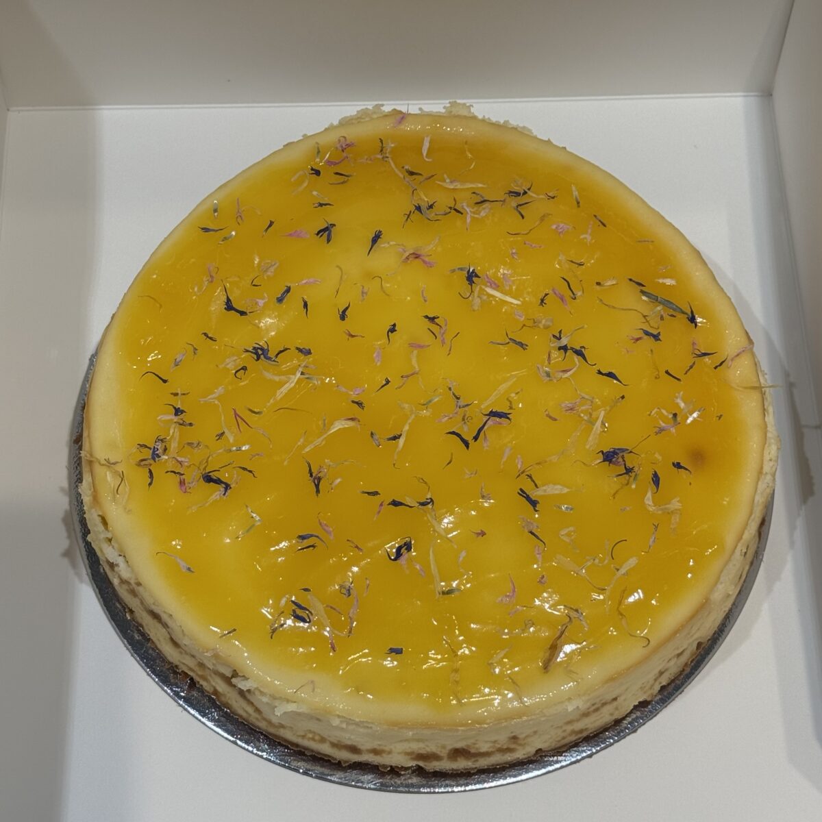 Cheesecake