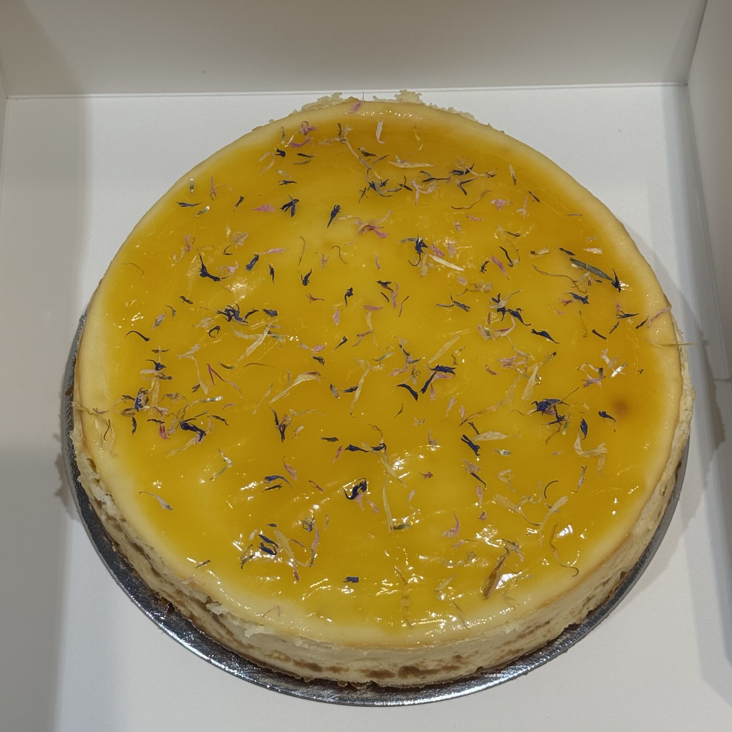 Cheesecake - Afbeelding 1