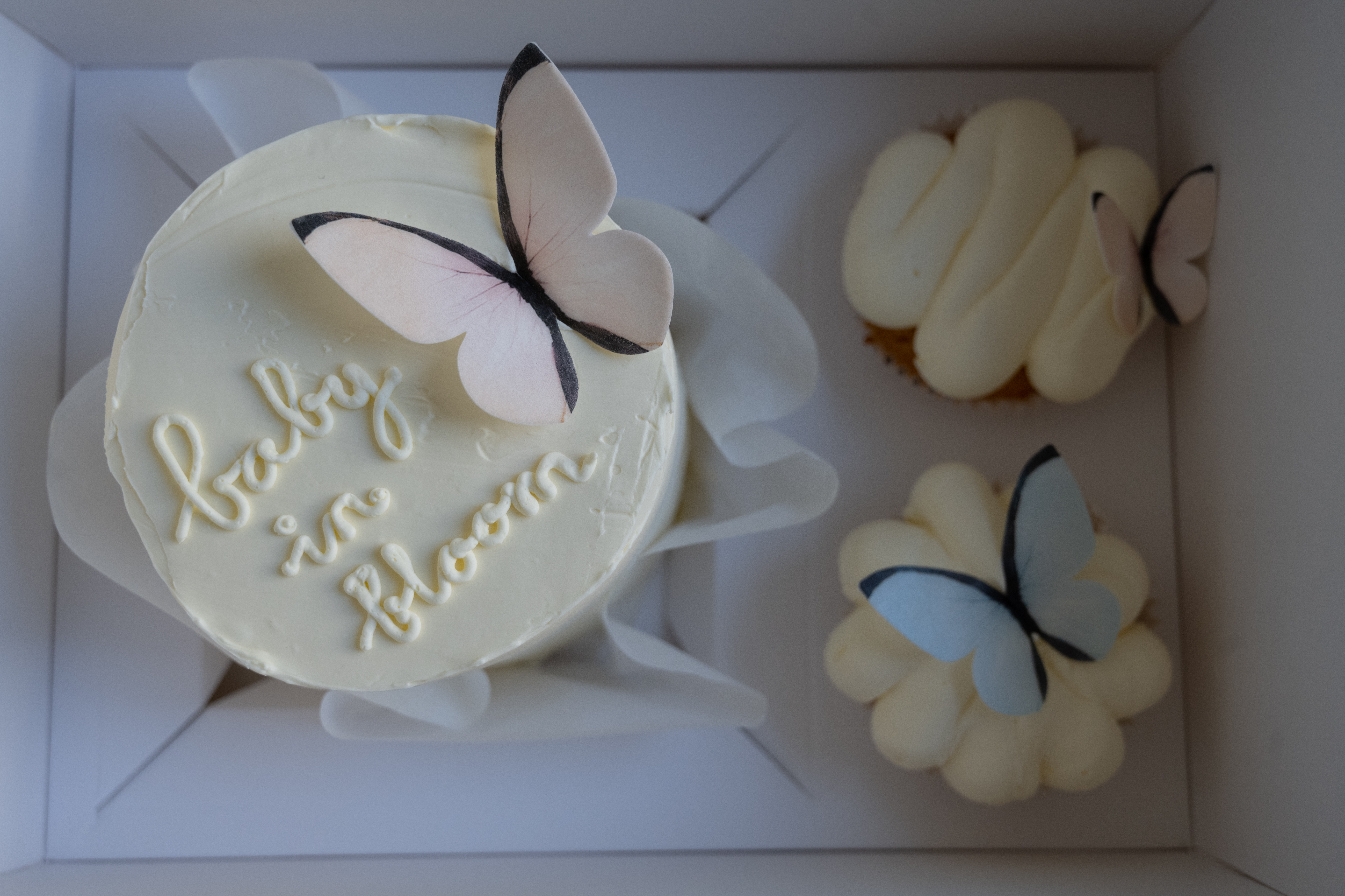 Bento cupcakebox